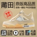 AJ4 Wings [High-End Flagship - Way Ahead]