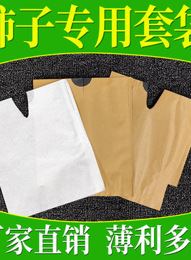 柿子套袋专用袋防虫防鸟水果套袋