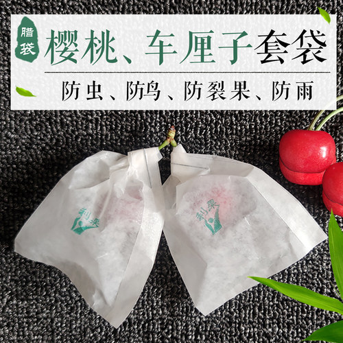 樱桃车厘子专用套袋防虫鸟防裂果