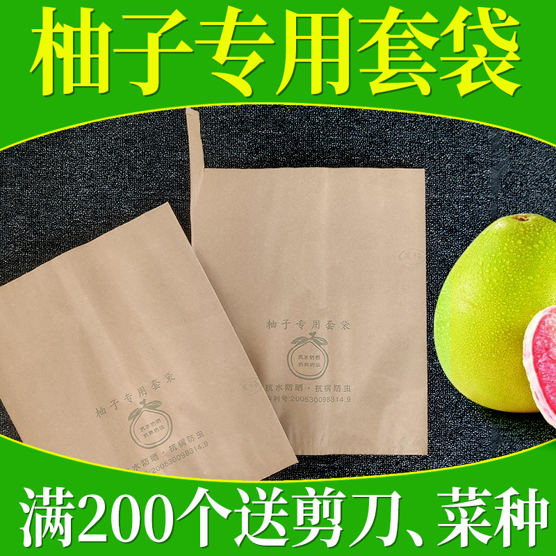 蜜柚套袋专用红心黄白果树