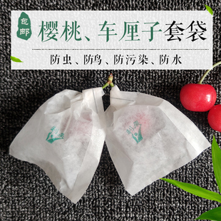 樱桃车厘子专用套袋草莓樱珠大樱桃全腊袋果树纸袋防虫防鸟防裂