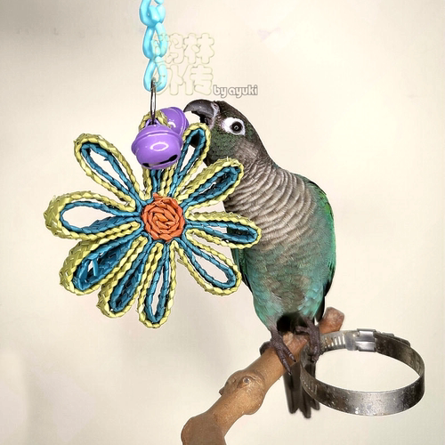 啃咬解闷鹉林外传益智鹦鹉玩具