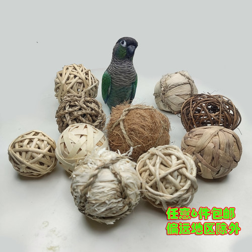鹉林外传藤球训练牡丹玄凤鹦鹉