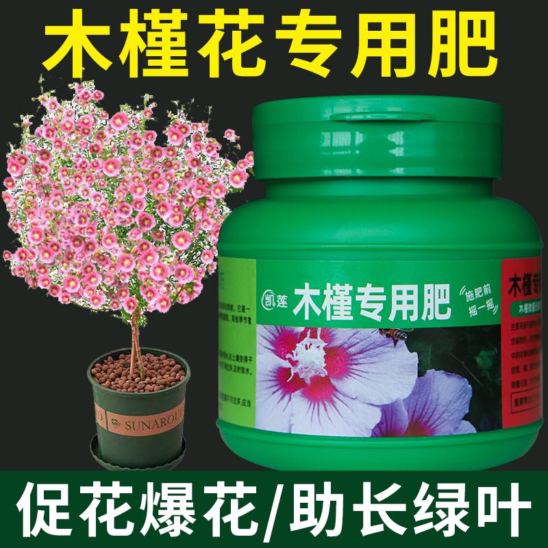 木槿专用肥木槿花肥料小木槿营养液木菊花扶桑花盆栽花肥木棉促花