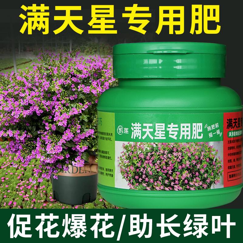 满天星专用肥肥料锥花丝石竹营养液四季肥复合肥花肥开花营养养料