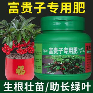 富贵子肥料专用肥营养液叶面喷施肥有机肥盆栽促红果花肥养料盆景