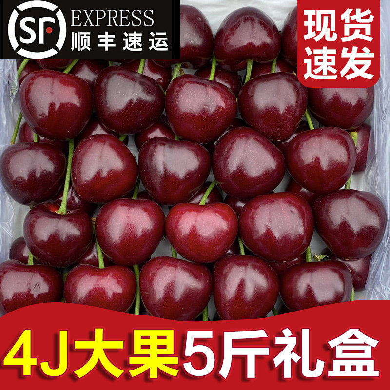 智利车厘子新鲜孕妇水果礼盒装