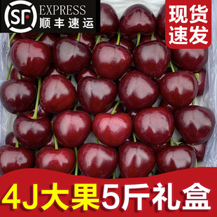 次日达孕妇3J4j吉制桑提娜樱桃 包邮 智利车厘子5斤装 礼盒水果