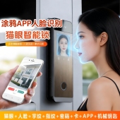 跨境新加坡人脸识别掌纹手机涂鸦远程可视猫眼电子铁栏门智能锁
