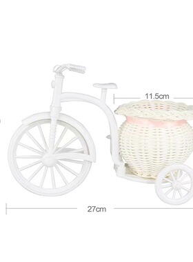卧室办公插花篮自行车三轮车收纳篮 装饰插花篮子 工艺品摆件篮
