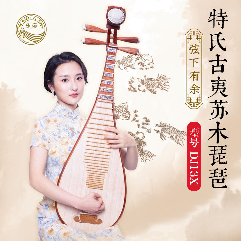 乐海琵琶乐器DJ13X特氏古夷苏木材质弦下有余图案初学考级推荐款