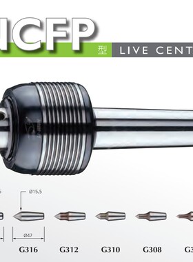 台湾丽勋LI-HSUN重负荷顶针尖数控车床NCFP-MT4-NCFPMT5可替换型