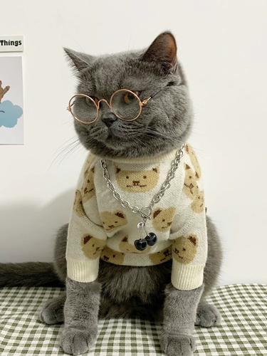 Милый брендовый зимний демисезонный утепленный удерживающий тепло пуховик, свитер, с медвежатами, осенний сезон