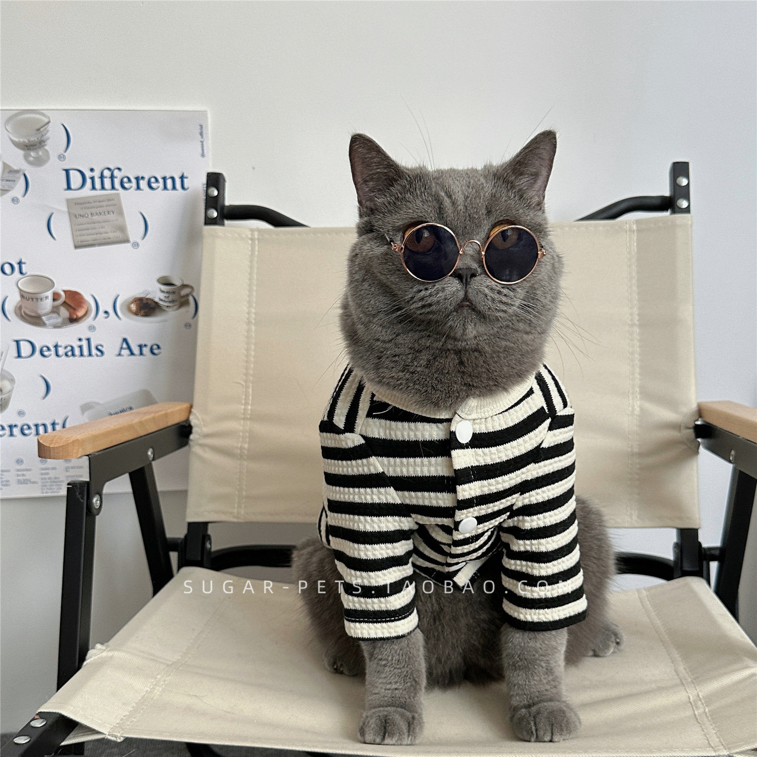 春秋开衫卫衣宠物狗狗猫咪衣服保暖防掉毛美短蓝猫加菲银渐层卫衣