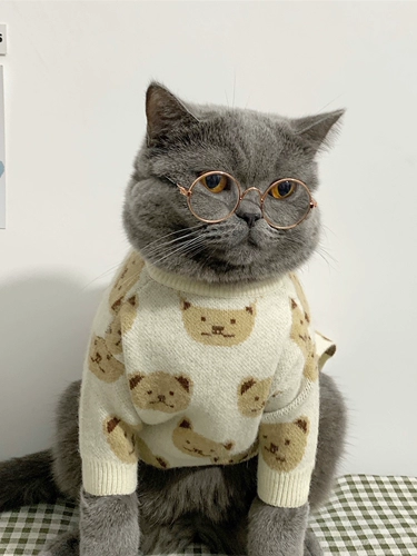 Милый брендовый зимний демисезонный утепленный удерживающий тепло пуховик, свитер, с медвежатами, осенний сезон