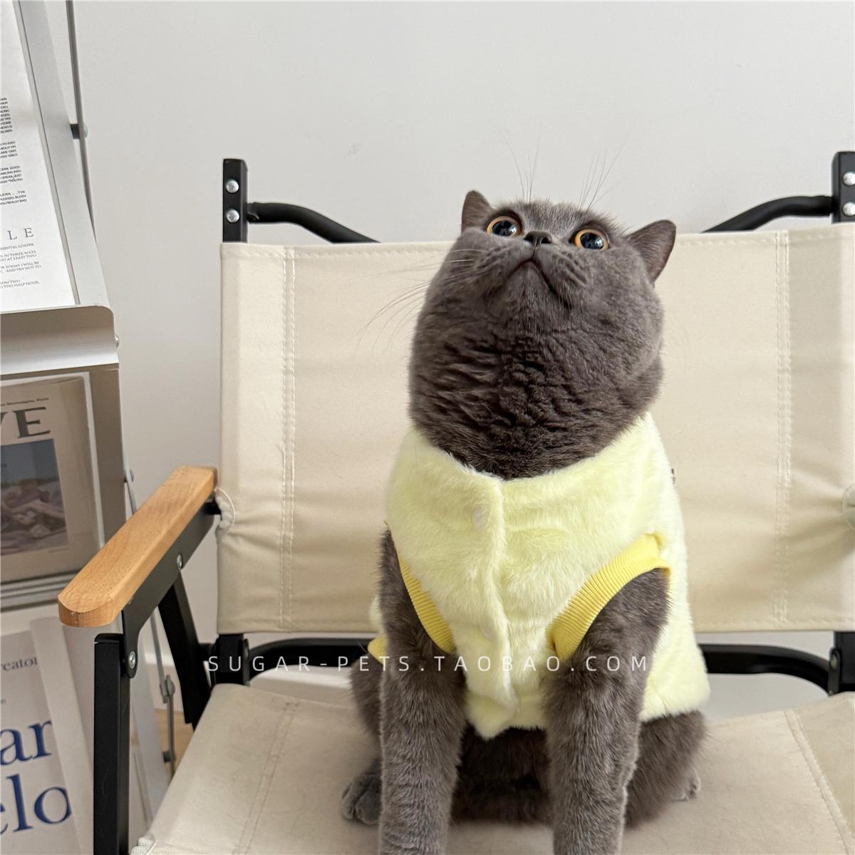 秋冬季保暖英美短银渐层防掉毛小奶猫背心马甲宠物狗狗猫咪衣服