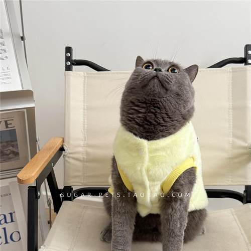 秋冬季保暖英美短银渐层防掉毛小奶猫背心马甲宠物狗狗猫咪衣服