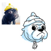 搞笑手绘宠物头像逗趣表情包猫咪狗狗可爱头像原创定制约稿定制