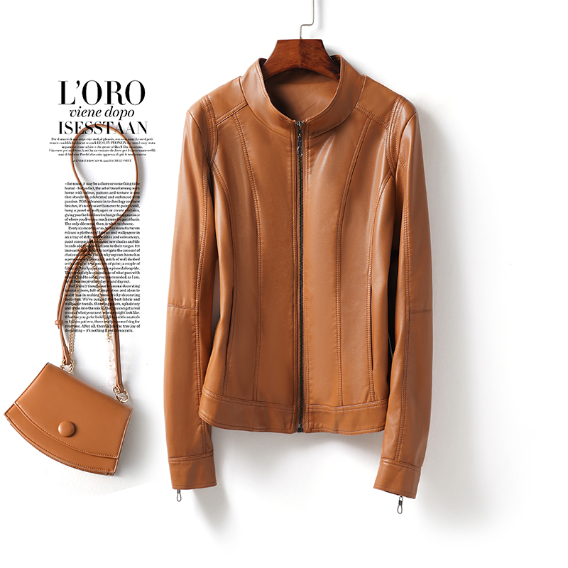 海宁真皮皮衣短款立领修身小个子