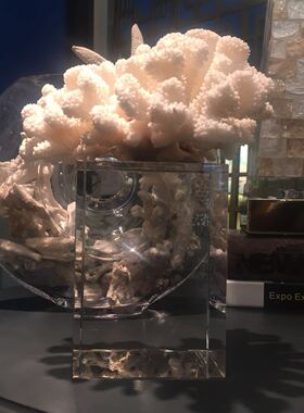 现代时尚白色珊瑚透明底座盆景石