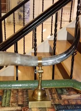 创意天然空心摆件支架客厅装饰品