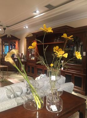 创意透明水培客厅插花工艺玻璃