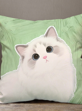布偶猫卡通可爱抱枕客厅靠枕办公室腰枕样板间靠垫被子两用定制