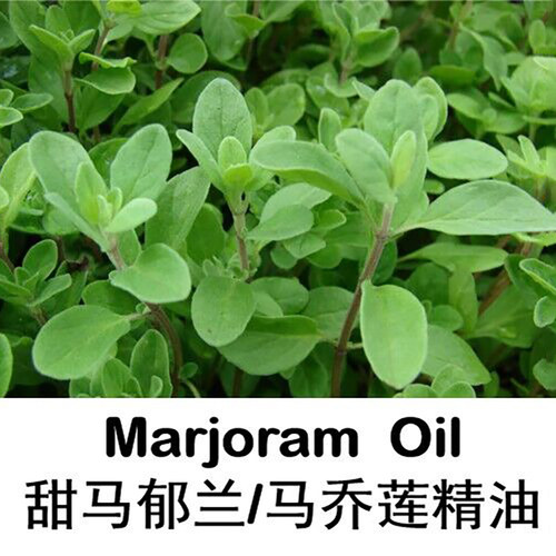 马乔莲10ml香薰收毛孔单方精油