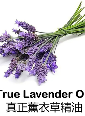 10ML普罗旺斯真正薰衣草精油纯单方植物精油香薰助睡眠厂家直销