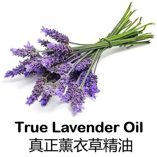 10ML普罗旺斯真正薰衣草精油纯单方植物精油香薰助睡眠厂家直销 - 封面