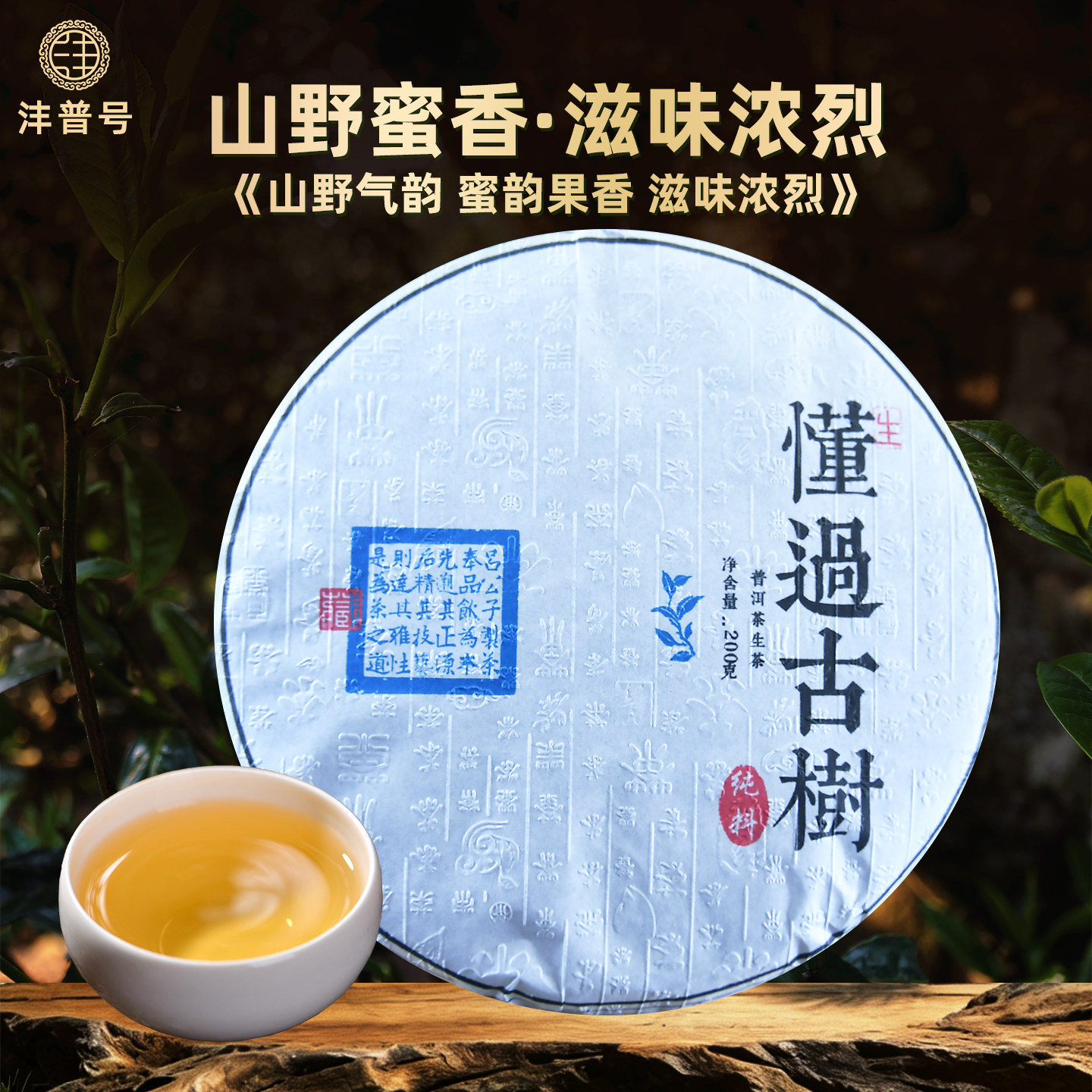 沣普号普洱茶生茶2022年古树生茶饼云南七子饼懂过普洱茶生普茶叶