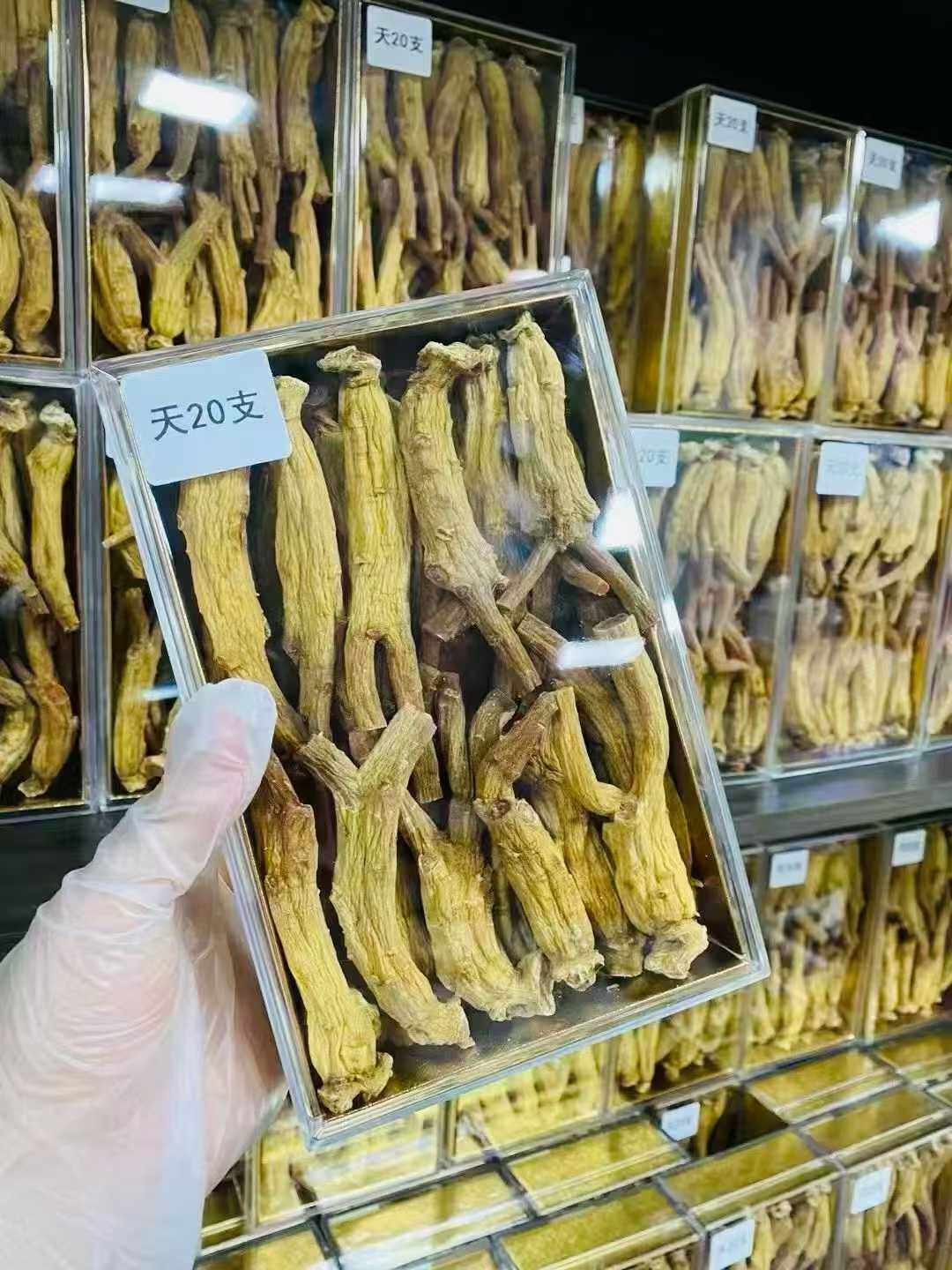 原枝高丽参精品货保切包邮