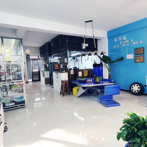 春节日常节假日托管猫咪雪貂寄养