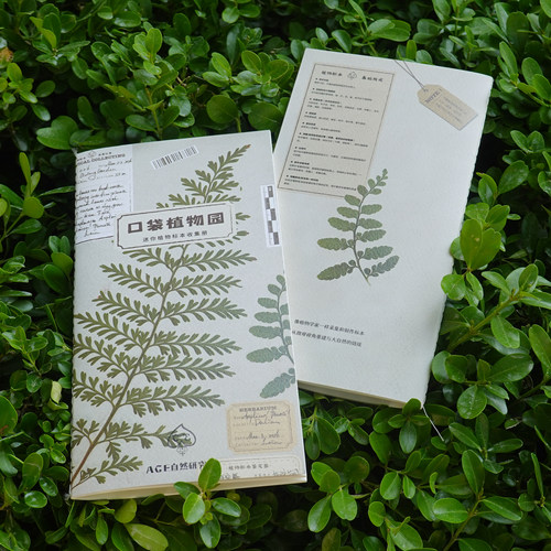 TN替芯植物标本收集册