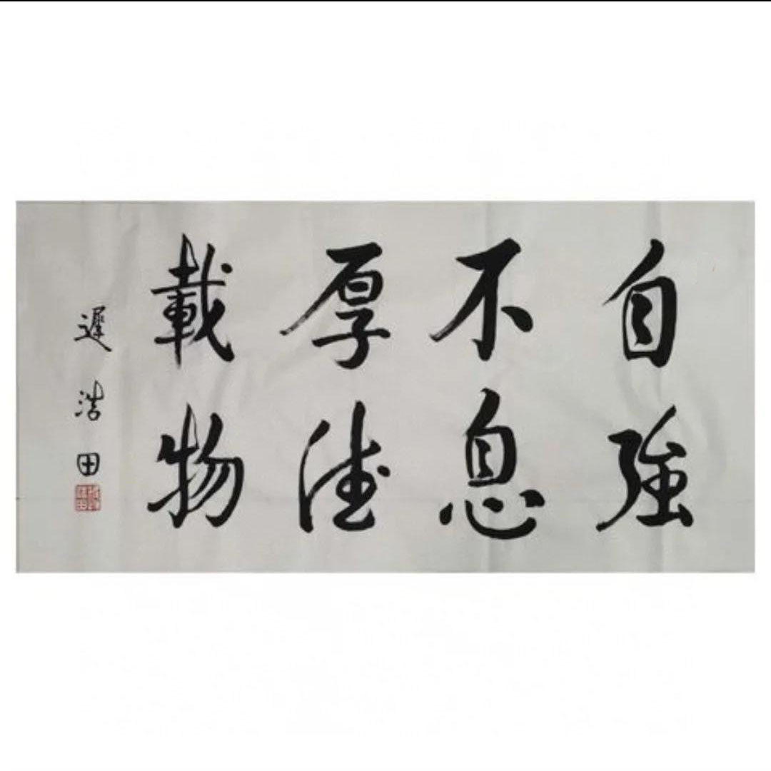 迟浩田书法领导将军题字高精1:1手写临摹定制客厅书法玄关字画