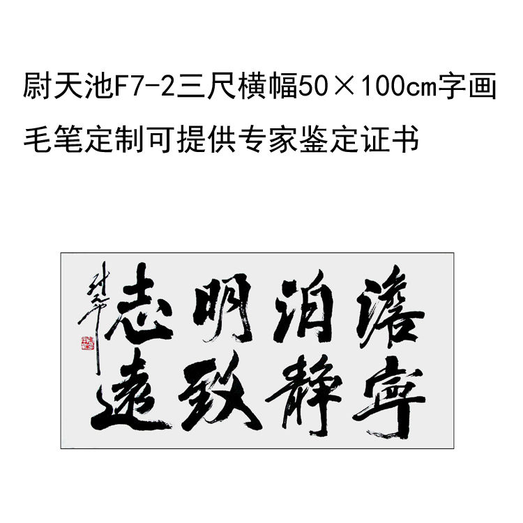 临摹手写尉天池书法题字50×100cm名人字画毛笔临摹定制收藏可选 家居饰品 书法 原图主图