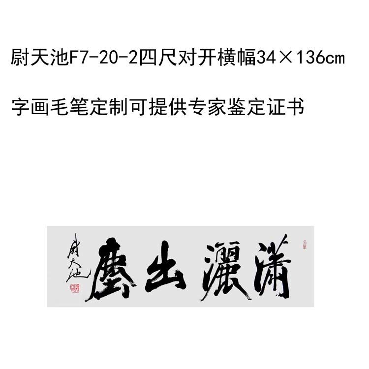 临摹手写尉天池书法题字34×136cm名人字画名家毛笔临摹定制可选 家居饰品 书法 原图主图