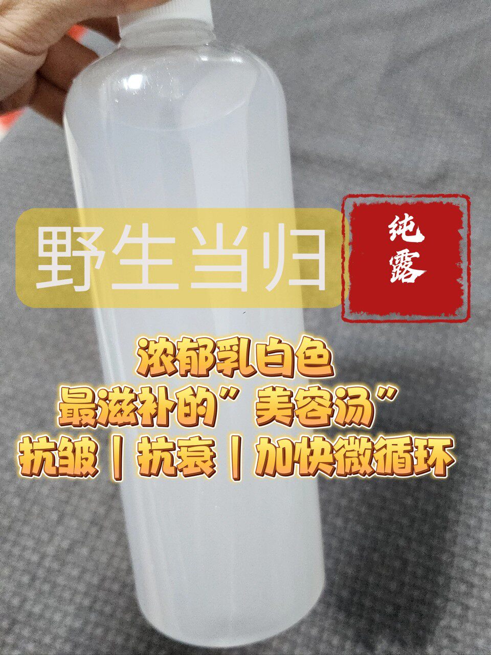 野生当归纯露500ml  促微循环抗皱亮肤红润 肌肤的“滋补汤”