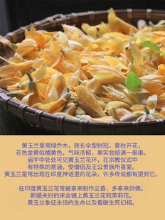 黄玉兰纯露500ml 稀缺纯露香迷糊了 润白提亮赶走暗沉