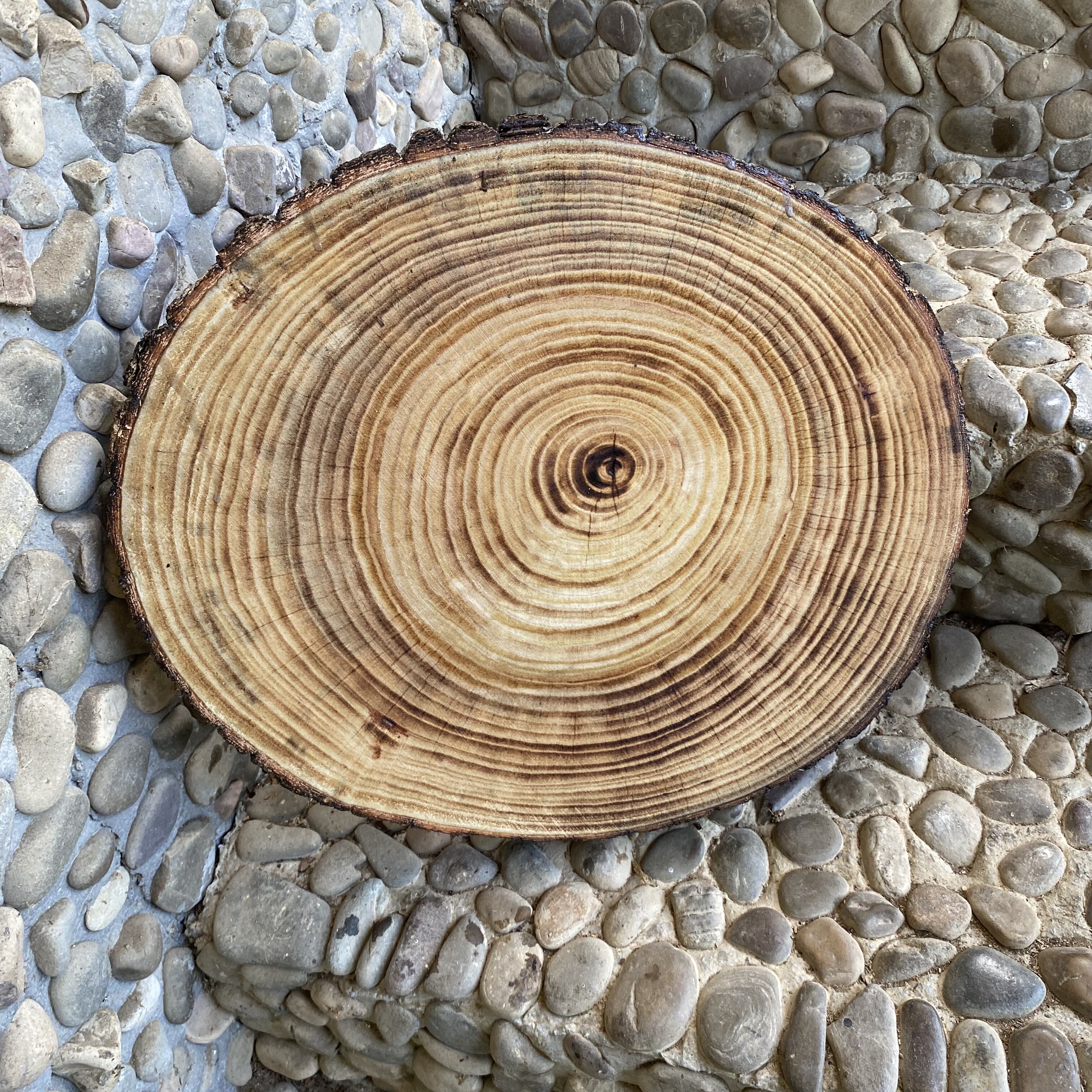 实木年轮木头片装饰背景墙DIY手工实木材料松木原木绘画木头片