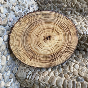 实木年轮木头片装饰背景墙DIY手工实木材料松木原木绘画木头片