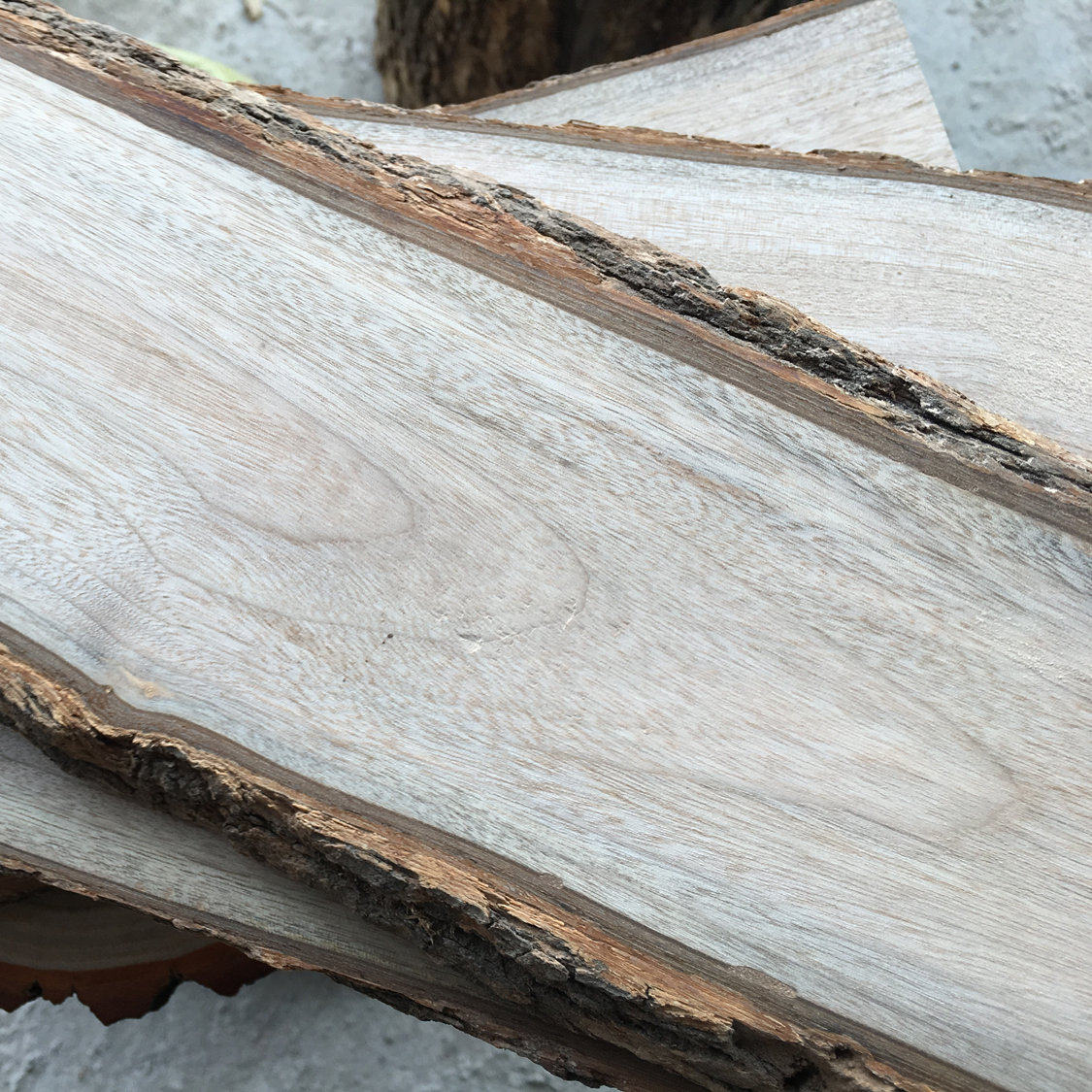 天然树皮拍摄背景道具 复古 拍照道具装饰摆件 摄影背景木板