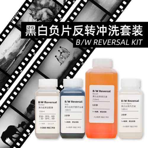 小众银盐黑白反转负片正冲