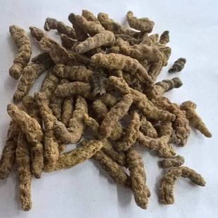 炒僵蚕 炒白僵蚕 熟僵蚕 麸炙制僵蚕中药材正品天僵虫500g克80元