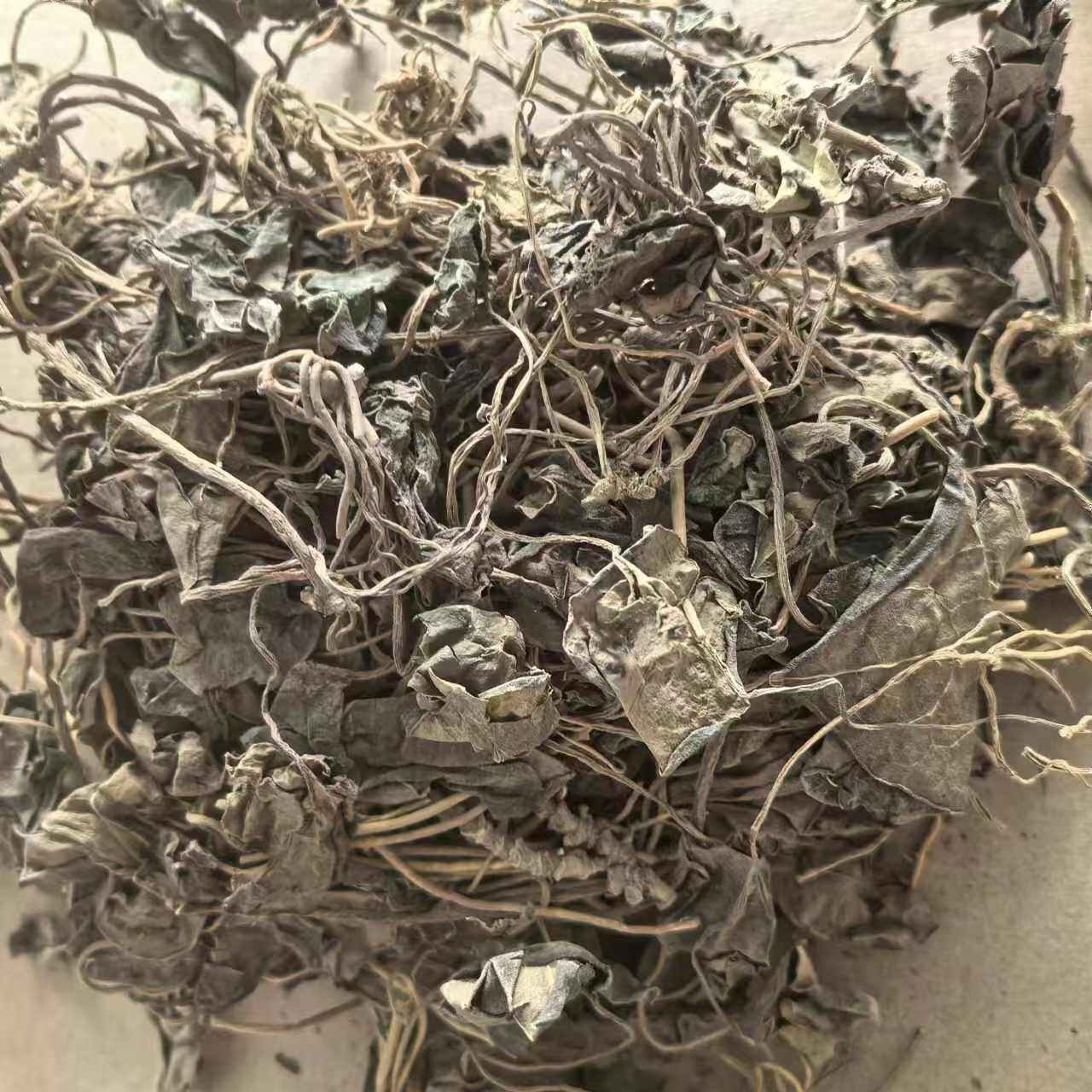 瑶药 金耳环 带叶细辛 南细辛 千打锤 中草药材 500g克26元