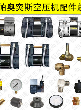 圣帕伏虎探索奥突斯气泵通用配件600W980w1600W无油机头电磁阀