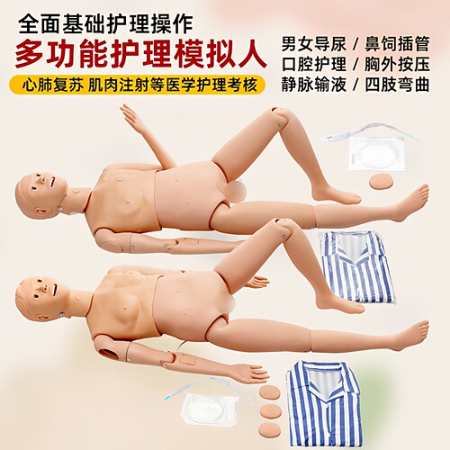多功能男女性输液打针导尿模型