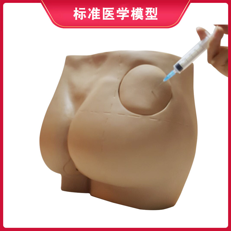 엉덩이 주입 모델 엉덩이 주입 모듈 병원 학교 교육 데모 모델 클리닉 개인 연습 모델