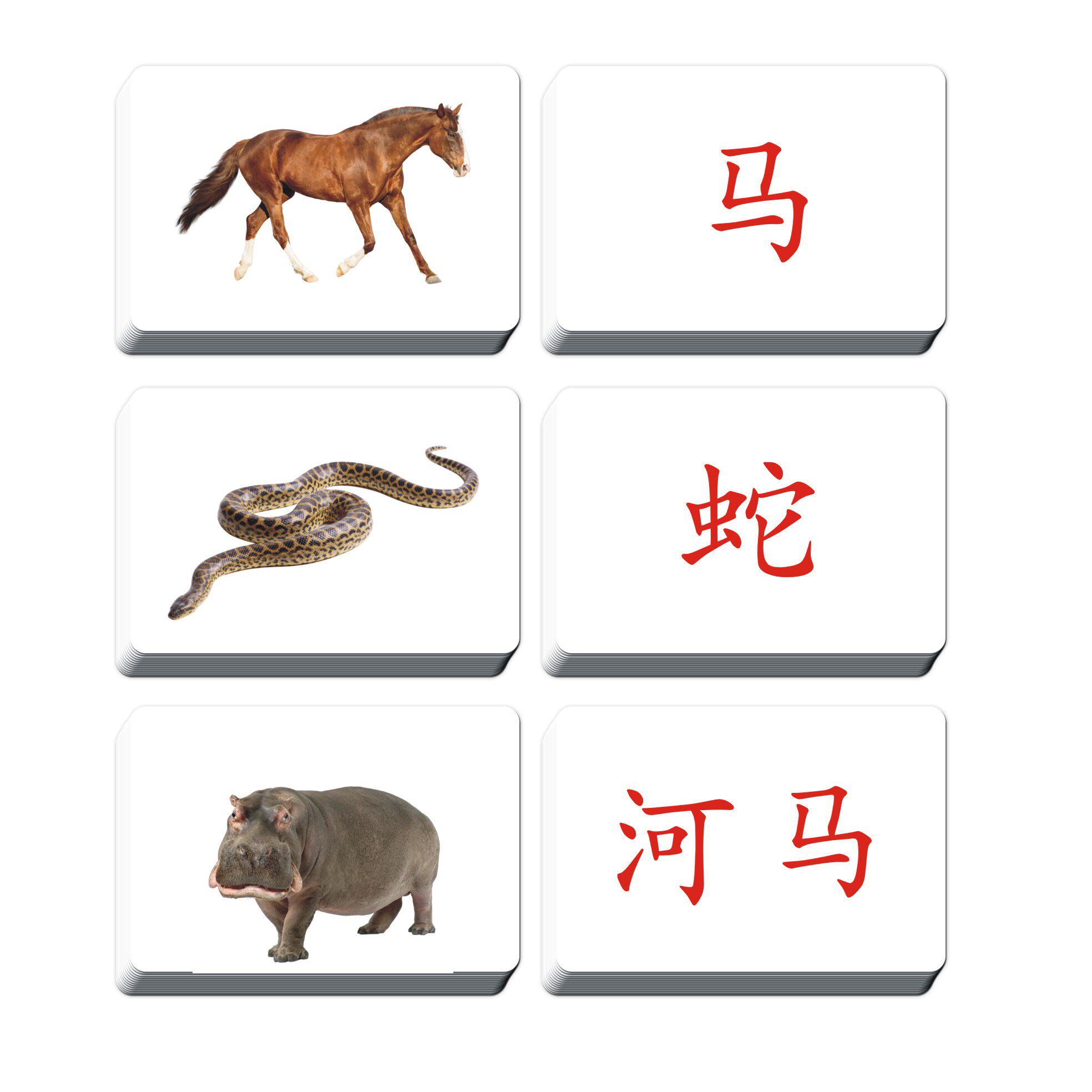 宝宝早教益智玩具教具杜曼百科动物闪卡右全脑课潜能开发认知卡片