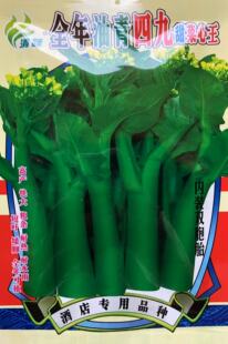 广东菜心种籽全年油青四九甜菜心王种子春季秋季四季家庭阳台播种